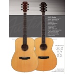 Austin AA40D