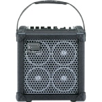 Roland Micro Cube RX