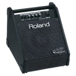 Roland Personal Monitor Amplifier