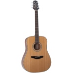 Takamine Dreadnoughts GS330S