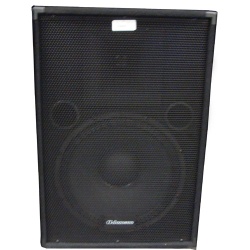 Adamson 300W single 15 w/ Horn