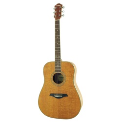 Hohner DL500