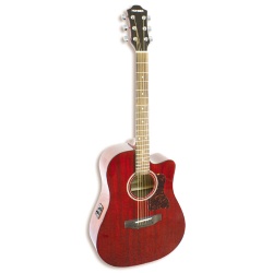 Hohner HW300CE