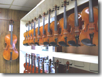 Orchestra Instruments