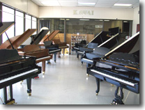 Pianos and Keyboards