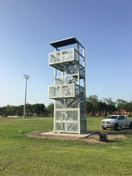 band director tower