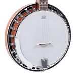 RK-R20 Recording King Songster Resonator Banjo