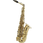 Selmer 52AXOS Henri Selmer Paris/Seles Professional Alto Saxophone