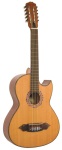 Lucida LGBQ2E Thinline Bajo Quinto A/E