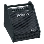 Roland PM10 Personal Monitor Amplifier