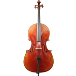 West Coast DG450VCE Dario Giovanni 4/4 European tone wood Cello