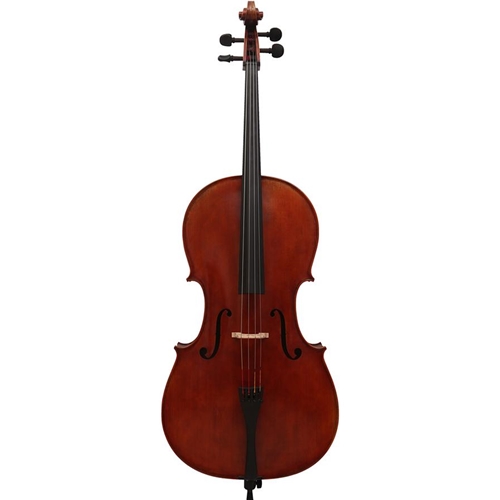 cello ae00-1061.jpg