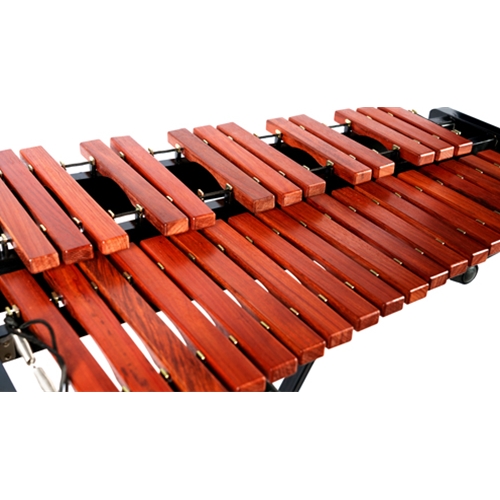 パーカッション・打楽器 Microlog2 Song Meter Micro 2 | Wildlife Acoustics