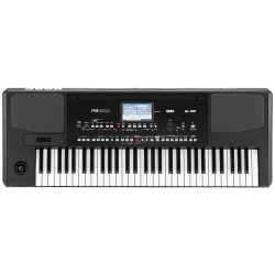 Korg Pro Arranger PA300