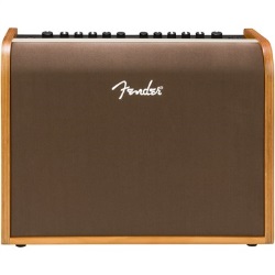 Fender Acoustic 100 - 100-watt Acoustic Amp