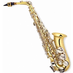 Adamson AAS-300 Intermediate Alto Saxophone