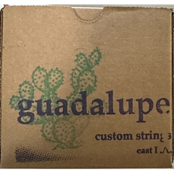 Guadalupe JHS Arpa Jalisciense String Set